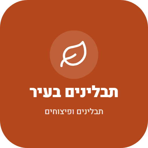תבלינים בעיר